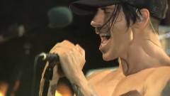 Red Hot Chili Peppers - Higher Ground