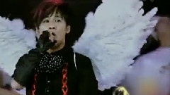 花儿乐队 - 化蝶飞