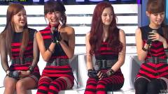 Show Champion Interview