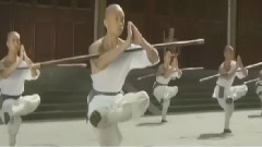 少林少林 武术欣赏版
