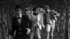 Solander - Narcissus