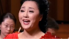 王庆爽 - 致祖国