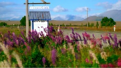 Bandari,轻音乐 - Irish Meditation