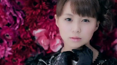 ブラックバタフライ