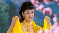 张华敏 - 江边有个湘潭县