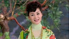 张华敏 - 山丹丹花开红格格艳