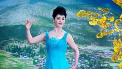 张华敏 - 中国红