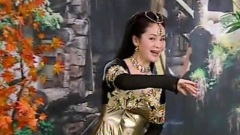 张华敏 - 走进阿佤山