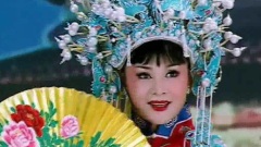 张华敏 - 天地舞台