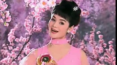 张华敏 - 好时代好春光