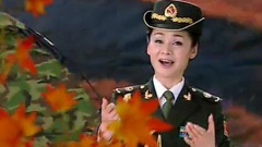 张华敏 - 战友情