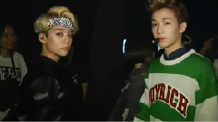Show Champion Backstage Amber Cut