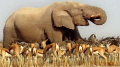 A Change Is Gonna Come