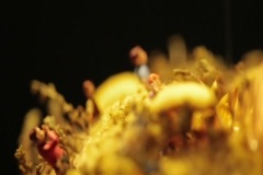 山崎まさよし - Flowers (Short Ver.)