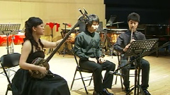 民乐群星 - 塞上曲