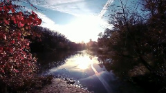 The American Dollar - Second Sight