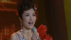 刘媛媛 - 五星红旗