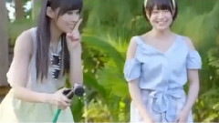 ラブラドール・レトリバー のMV初公開