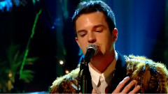 The Killers - Losing Touch Jools Holland