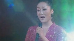 叶凡 - 大红绸子飘起来