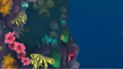 Thalia - El Garabato Colorado