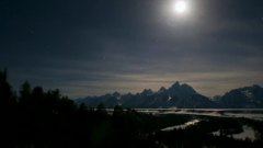 Bandari - Snowdreams