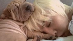 G-Dragon(BigBang) - 志龙生日粗卡