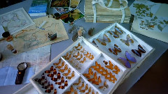 纪实片<失落的世界>片中配乐1