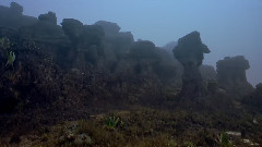 纪实片<失落的世界>片中配乐5