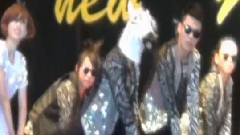 Zebra Style 宣传片头