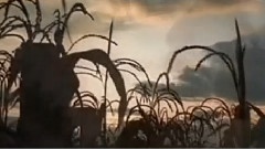 Enigma - Return To Innocence