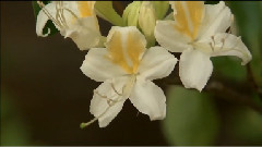 风景 - 约塞米蒂国家公园的春夏秋冬