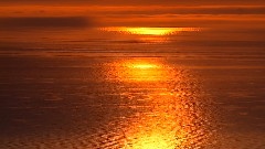 风景 - 北海道之夏