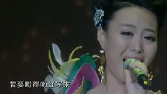 民乐群星 - 映山红