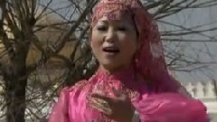 民乐群星 - 回乡处处是春光