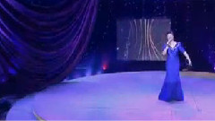 民乐群星 - 和谐大家庭