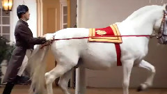 巴黎妇人法兰西波尔卡