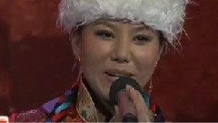 民乐群星 - 牧羊姑娘