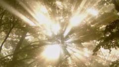 Michel Pépé - La clef des reves