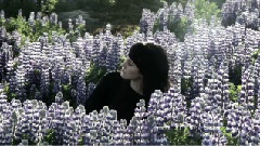 Johanna and the Dusty Floor - Fishbones