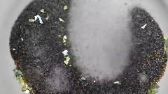 Hundred Waters - Out Alee