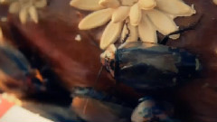 Люби ти Україну