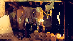 Lanterns on the Lake - The Buffalo Days