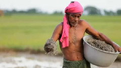 Enigma - Return to Innocence