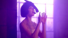 紫雨林 - 伊卡洛斯