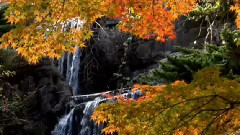 Giovanni Marradi,音乐短片 - For The Rest Of My Life