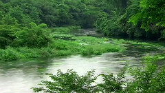 Bandari,音乐短片,轻音乐,风景 - Earth Melody