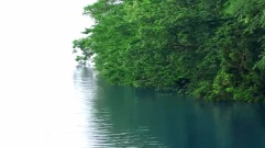 Bandari,音乐短片,轻音乐,风景 - If You Leave Me Now