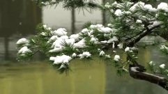 Bandari,音乐短片,轻音乐,风景 - Peaceful Life