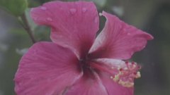 Omar Akram - Falling Through The Rain